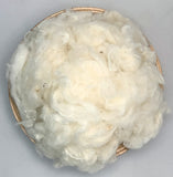 Natural Colored Cotton Noil