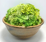 Grassy - Kid Mohair Locks