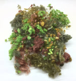 Forest Floor - Soft Wool Nepps